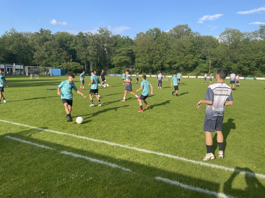 Trainingskampen